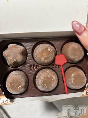 ��ˬ����Х��顦����֥���� �ץ���� ��ˬ(����� �ץ���� ����) ���� �����1��10���̥�֥�����🍨��