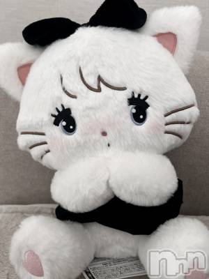 ��ˬ����Х��顦����֥���� �ץ���� ��ˬ(����� �ץ���� ����) ���� �����2��20���̥�֥�����🐱🖤��