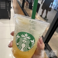 ˬХ顦  ץ ˬ( ץ )  712̥֥🍹
