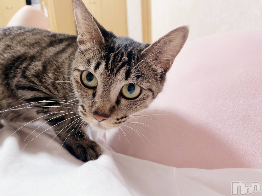 Х顦club eterhasa(֥) ߤʤ1021ֽ̥֥о🐈⸒⸒⸒⸒