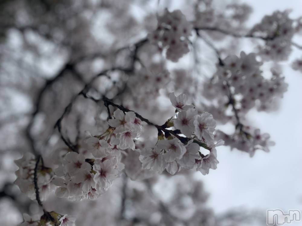 Х顦club eterhasa(֥) ߤʤ414ֺ̥֥🌸🫧