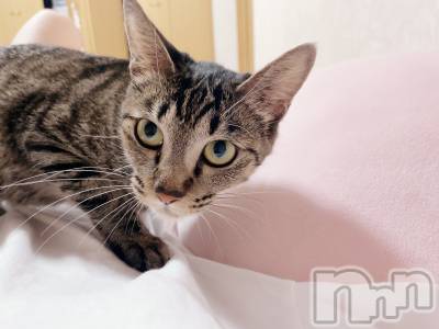 Х顦club eterhasa(֥) ߤ(26)1021ֽ̥֥о🐈⸒⸒⸒⸒