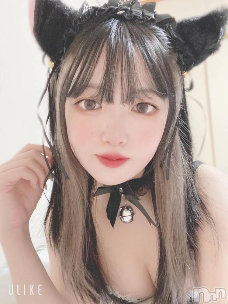 長岡デリヘルROOKIE(ルーキー) ぽぽ(19)の10月26日写メブログ「🤍ご注文は猫ですか❔🤍」