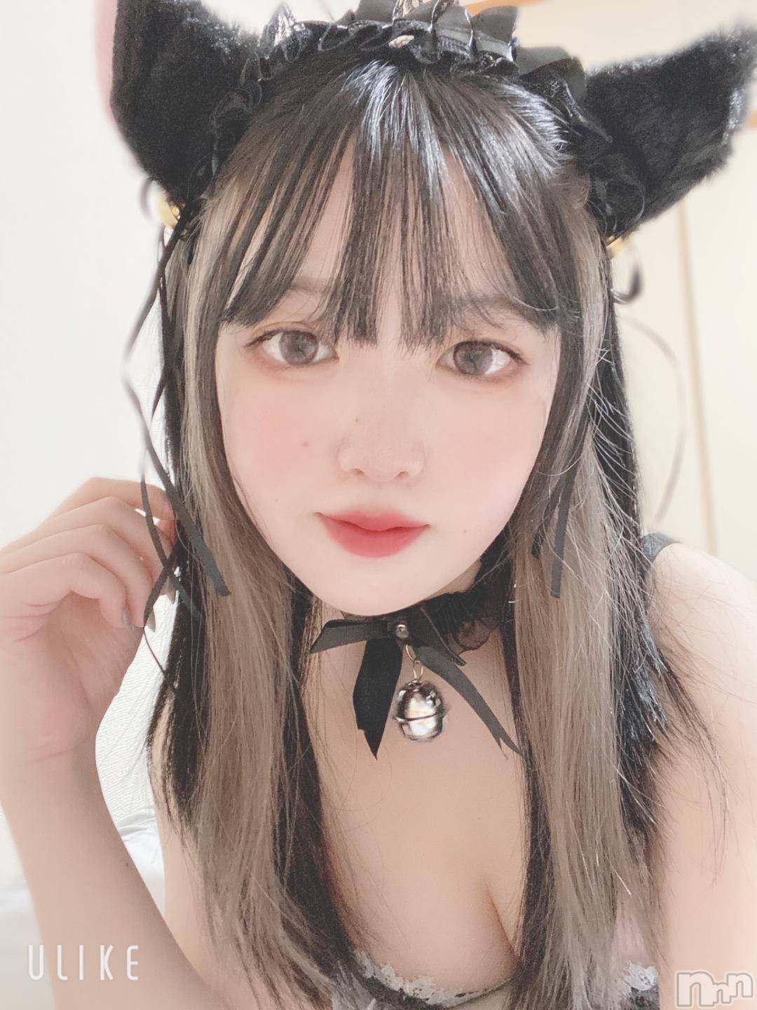 長岡デリヘルROOKIE(ルーキー)ぽぽ(19)の2024年10月26日写メブログ「🤍ご注文は猫ですか❔🤍」