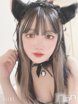 長岡デリヘル ROOKIE(ルーキー) ぽぽ(19)の10月26日写メブログ「🤍ご注文は猫ですか❔🤍」