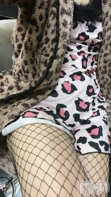 ĮС㤭PRESTIGE VIP(ץ쥹ơӥå) ֱफʤ44̥֥֤ޤ