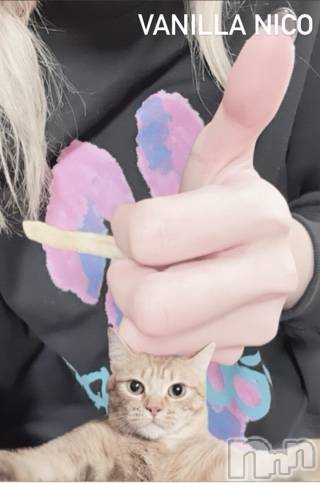 松本発デリヘルVANILLA(バニラ) にこ(18)の3月2日写メブログ「きょうとて」