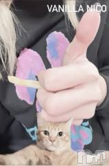 松本発デリヘルVANILLA(バニラ) にこ(18)の3月2日写メブログ「きょうとて」