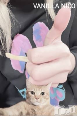 松本発デリヘル VANILLA(バニラ) にこ(18)の3月2日写メブログ「きょうとて」