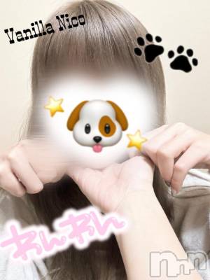 松本発デリヘル VANILLA(バニラ) にこ(18)の3月30日写メブログ「わんわんっわんっ」