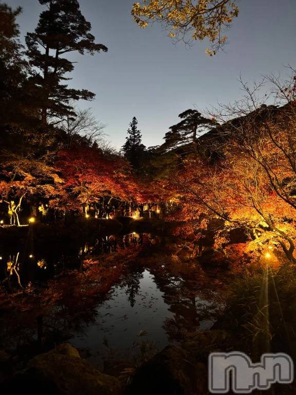 新潟デリヘル新潟デリヘル倶楽部(ニイガタデリヘルクラブ) みお(25)の11月26日写メブログ「一瞬すぎる秋🧸🍁」