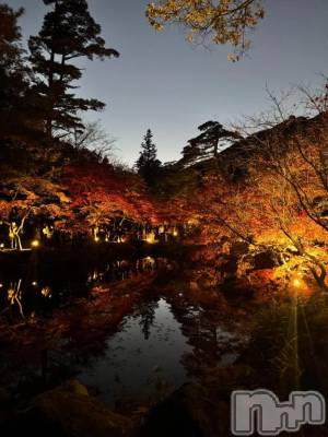 新潟デリヘル 新潟デリヘル倶楽部(ニイガタデリヘルクラブ) みお(25)の11月26日写メブログ「一瞬すぎる秋🧸🍁」