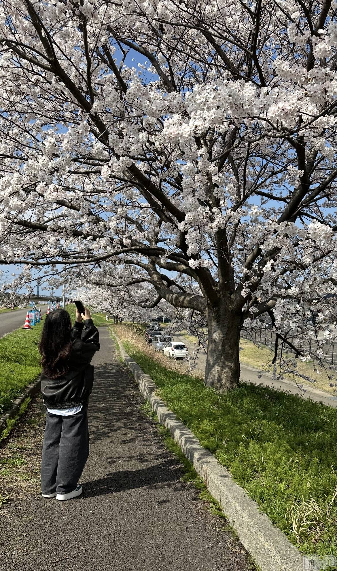 Х顦֥֥֥饦󥸤ޤʤߤ(֥֥饦󥸥ޥʥߥ) 2025ǯ413̥֥֥饦󥸤ޤʤߤĶ🌸