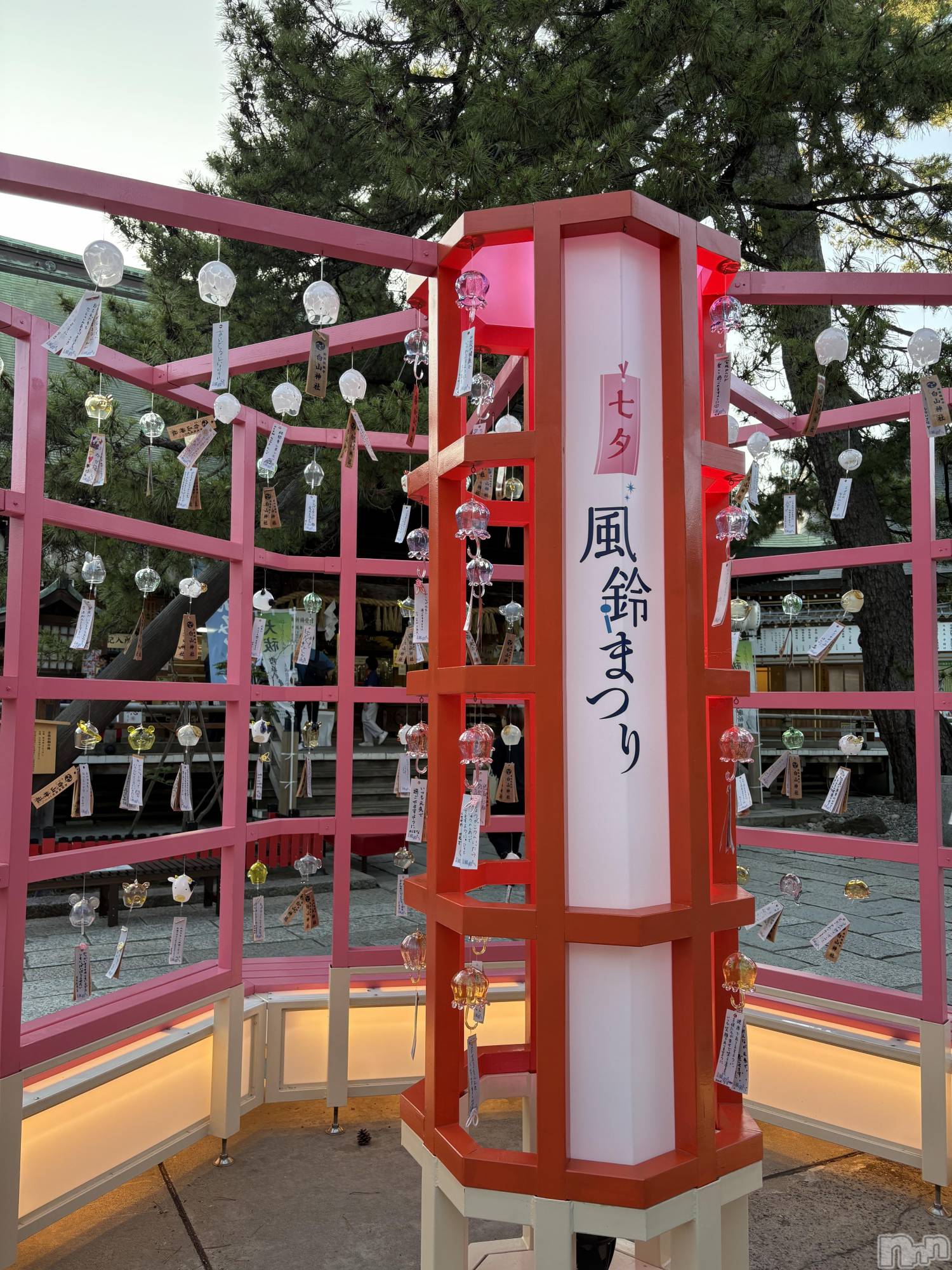 ʥå륺С󥻥ץȥե ˤޤ(󥻥ץȥե˥ޥ륭奦ǥ) 2025ǯ731̥֥731 2310ʬΥ֥