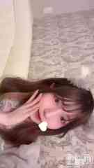 ʥå륺С 󥻥ץȥե ˤޤ(󥻥ץȥե˥ޥ륭奦ǥ) 620ư620 1254ʬΥ֥