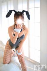 新潟ソープ新潟バニーコレクション(ニイガタバニーコレクション) メイサ(27)の11月30日写メブログ「空きました❤️」