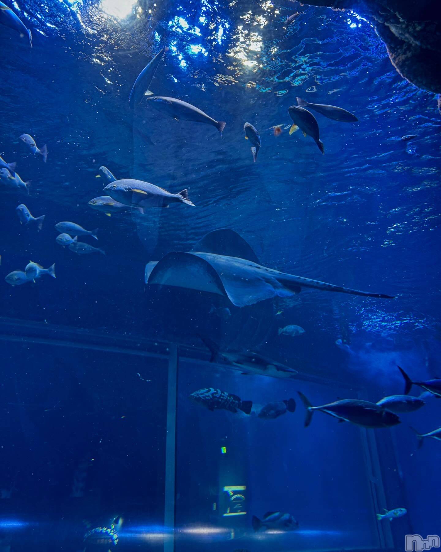 Х顦Club Un plus(ץ饹) 2025ǯ58̥֥֤餭🌊