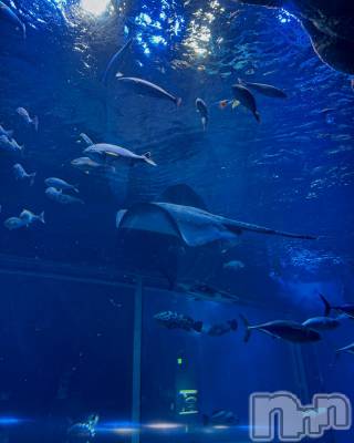 Х顦Club Un plus(ץ饹) (21)58̥֥֤餭🌊