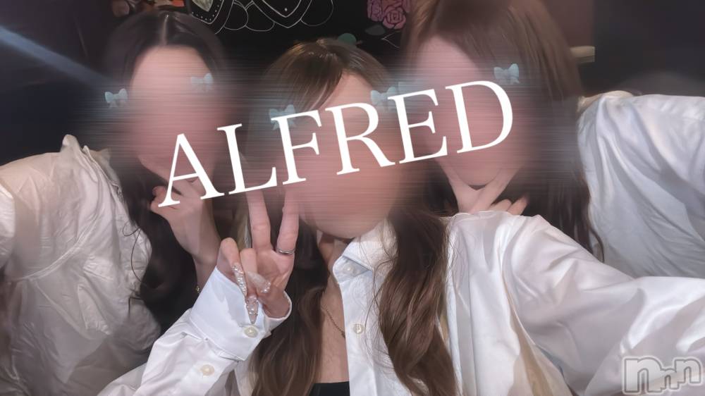 ʥå륺СALFRED(եå) ߤ730ְ̥֥ޤ