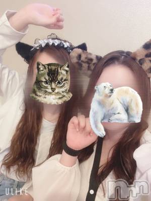 ����������ʥå��������륺�С�ALFE(����ե�) ��ߤ�9��2���̥�֥�����9���ͽ��🍻🍺*��