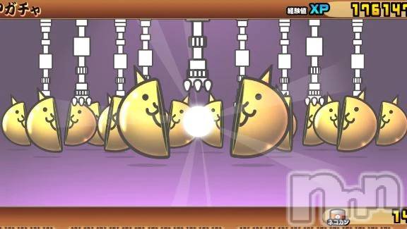 新潟デリヘル新潟市鳥屋野潟ちゃんこ(ニイガタシトヤノガタチャンコ) きらり(25)の4月5日写メブログ「わーい！」