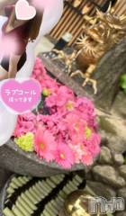 新潟デリヘル新潟市鳥屋野潟ちゃんこ(ニイガタシトヤノガタチャンコ) きらり(25)の6月13日写メブログ「髪明るめの時の写真💕」