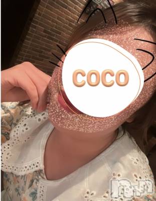 ޤʤ(ҥߥ) Ĺҥߥġȯѥ˥󥯥 Companion Club COCO(ѥ˥󥯥֥)ҡ