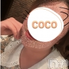 ޤʤ