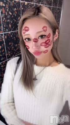 ˤ🐱