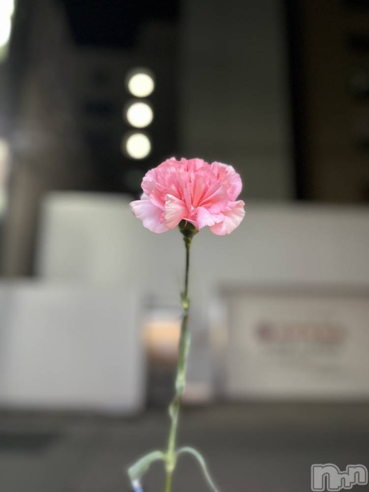 Х顦CLUB WACKO(֥拾) Ҥʤ46̥֥֤֤ää🌷