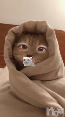 жФǤ😻