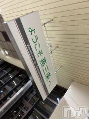 新潟デリヘル奥様特急 新潟店(オクサマトッキュウニイガタテン) ゆうり(20)の11月12日写メブログ「2週間長いようで短い短いようで長い」