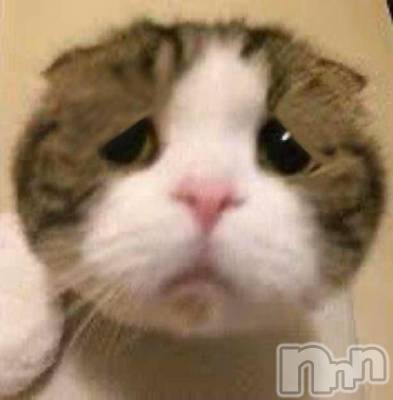 上越デリヘル BLUE BIRD上越店(ブルーバード上越店) こべに(23)の1月20日写メブログ「日程変更です😭💦」