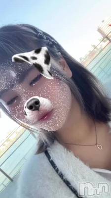 䤬ʤ