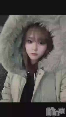 ʤˤ
