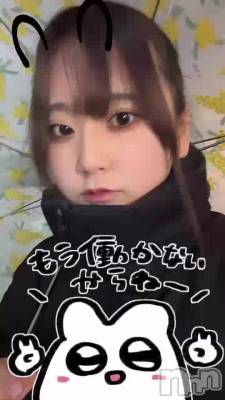 椭❄️