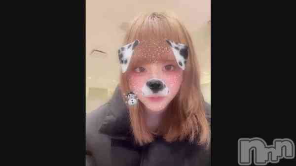 ȬĶ&#x29A;&#x1F338;&#x25E;