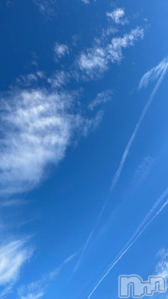 ��ˬ����Х��顦����֥���� �ץ���� ��ˬ(����� �ץ���� ����) ����� �椭��10��30���̥�֥�����2��