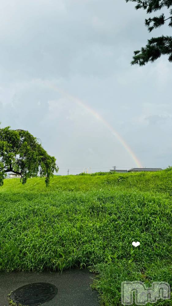 ��ˬ����Х��顦����֥���� �ץ���� ��ˬ(����� �ץ���� ����) ����� �椭��11��7���̥�֥�����5��