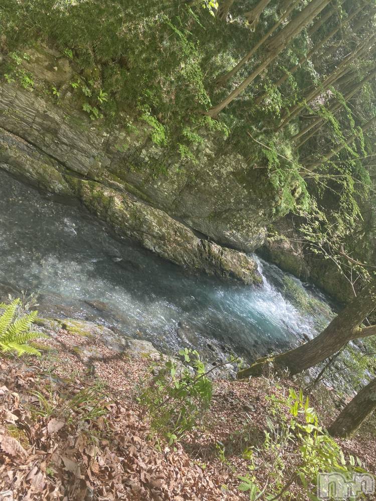 ��ˬ����Х��顦����֥���� �ץ���� ��ˬ(����� �ץ���� ����) ����� �椭��11��8���̥�֥�����6��