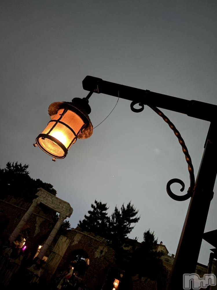 ��ˬ����Х��顦����֥���� �ץ���� ��ˬ(����� �ץ���� ����) ����� �椭��8��1���̥�֥�����136��