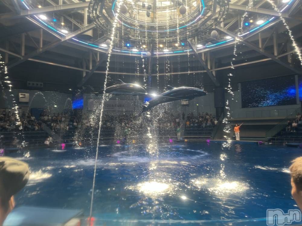 ��ˬ����Х��顦����֥���� �ץ���� ��ˬ(����� �ץ���� ����) ����� �椭��9��18���̥�֥�����164��