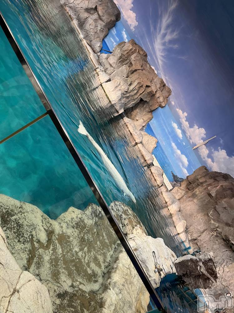 ��ˬ����Х��顦����֥���� �ץ���� ��ˬ(����� �ץ���� ����) ����� �椭��10��23���̥�֥�����183��