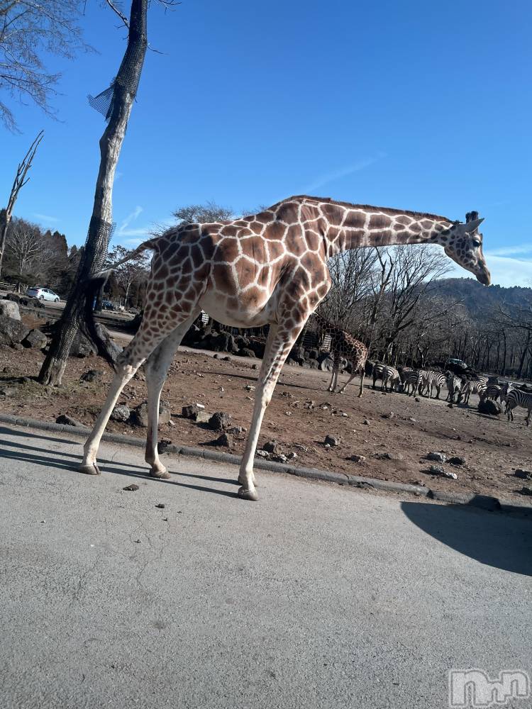 ��ˬ����Х��顦����֥���� �ץ���� ��ˬ(����� �ץ���� ����) ����� �椭��12��9���̥�֥�����215��