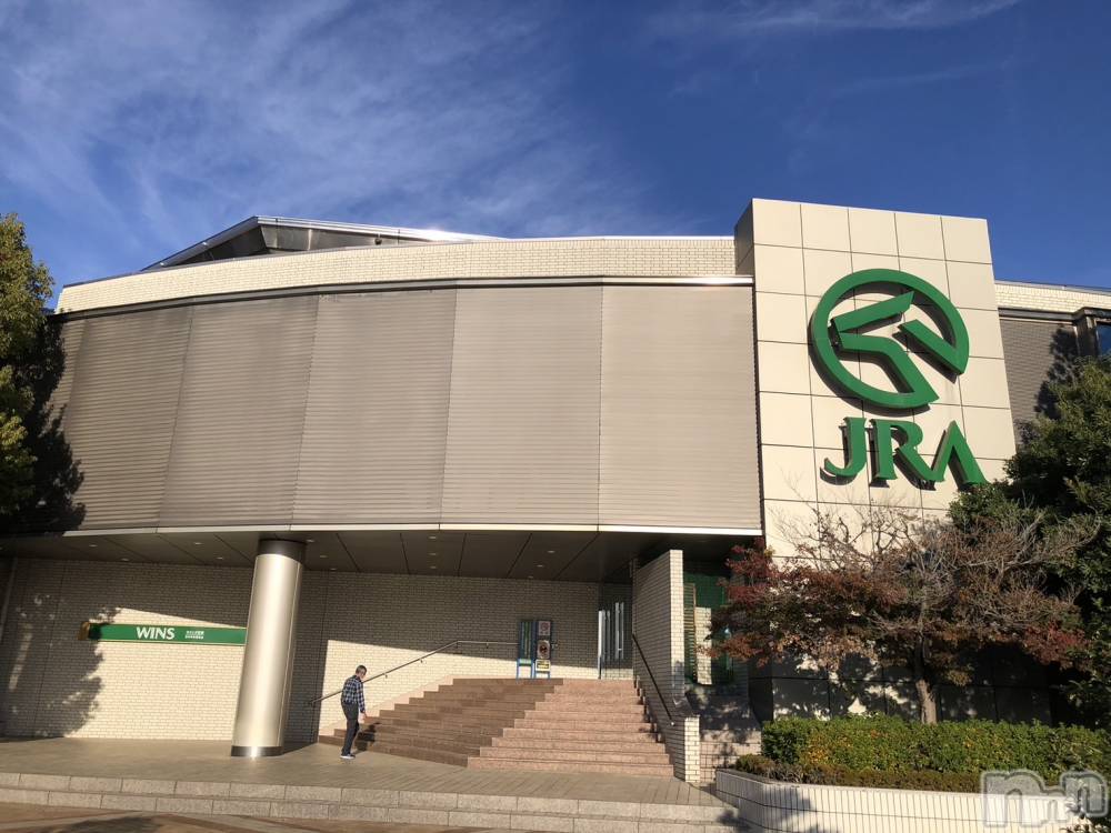 ��ˬ����Х��顦����֥���� �ץ���� ��ˬ(����� �ץ���� ����) ����� �椭��1��22���̥�֥�����242��