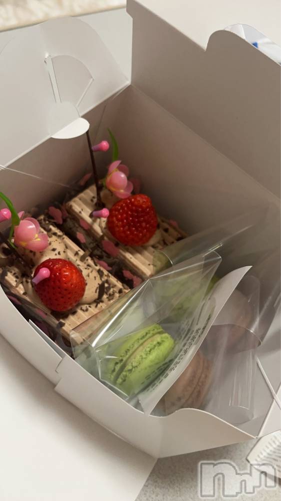 ��ˬ����Х��顦����֥���� �ץ���� ��ˬ(����� �ץ���� ����) ����� �椭��3��3���̥�֥�����273��