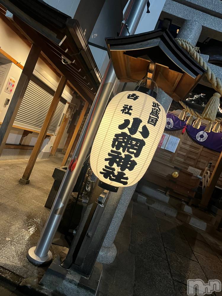 ��ˬ����Х��顦����֥���� �ץ���� ��ˬ(����� �ץ���� ����) ����� �椭��3��7���̥�֥�����277��