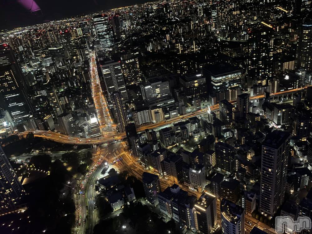 ��ˬ����Х��顦����֥���� �ץ���� ��ˬ(����� �ץ���� ����) ����� �椭��4��8���̥�֥�����298��