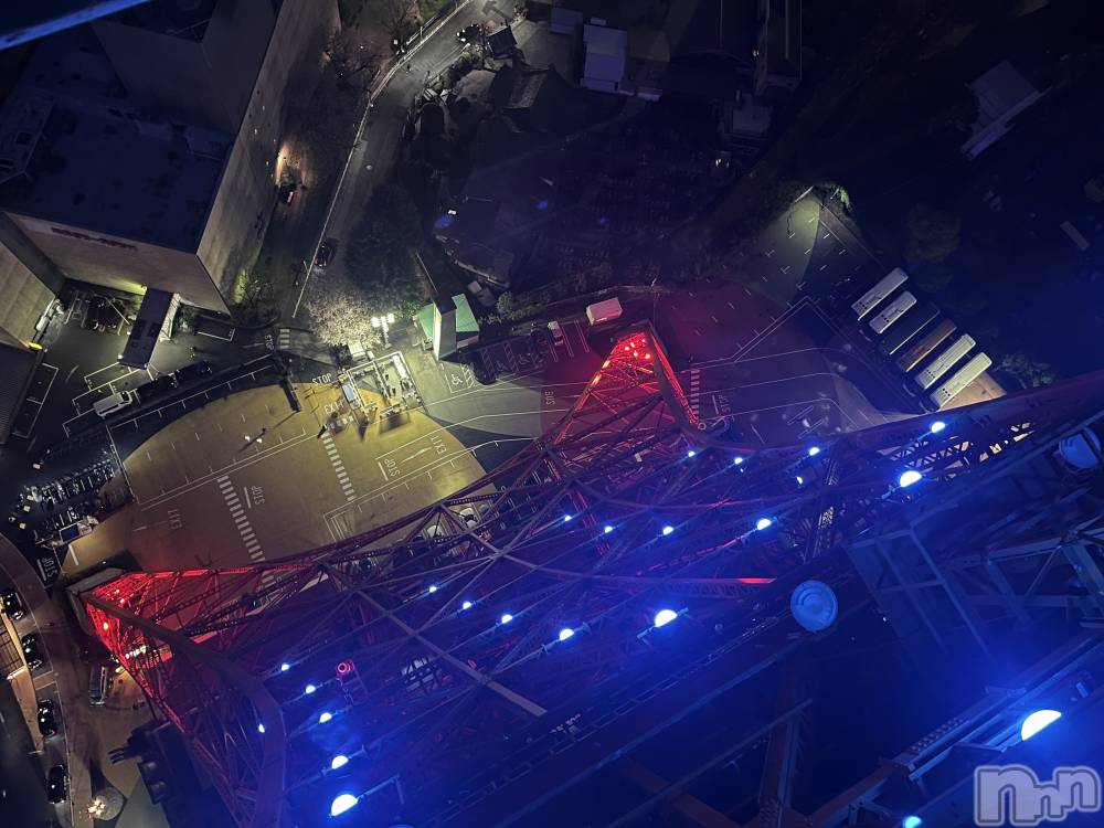 ��ˬ����Х��顦����֥���� �ץ���� ��ˬ(����� �ץ���� ����) ����� �椭��4��9���̥�֥�����299��