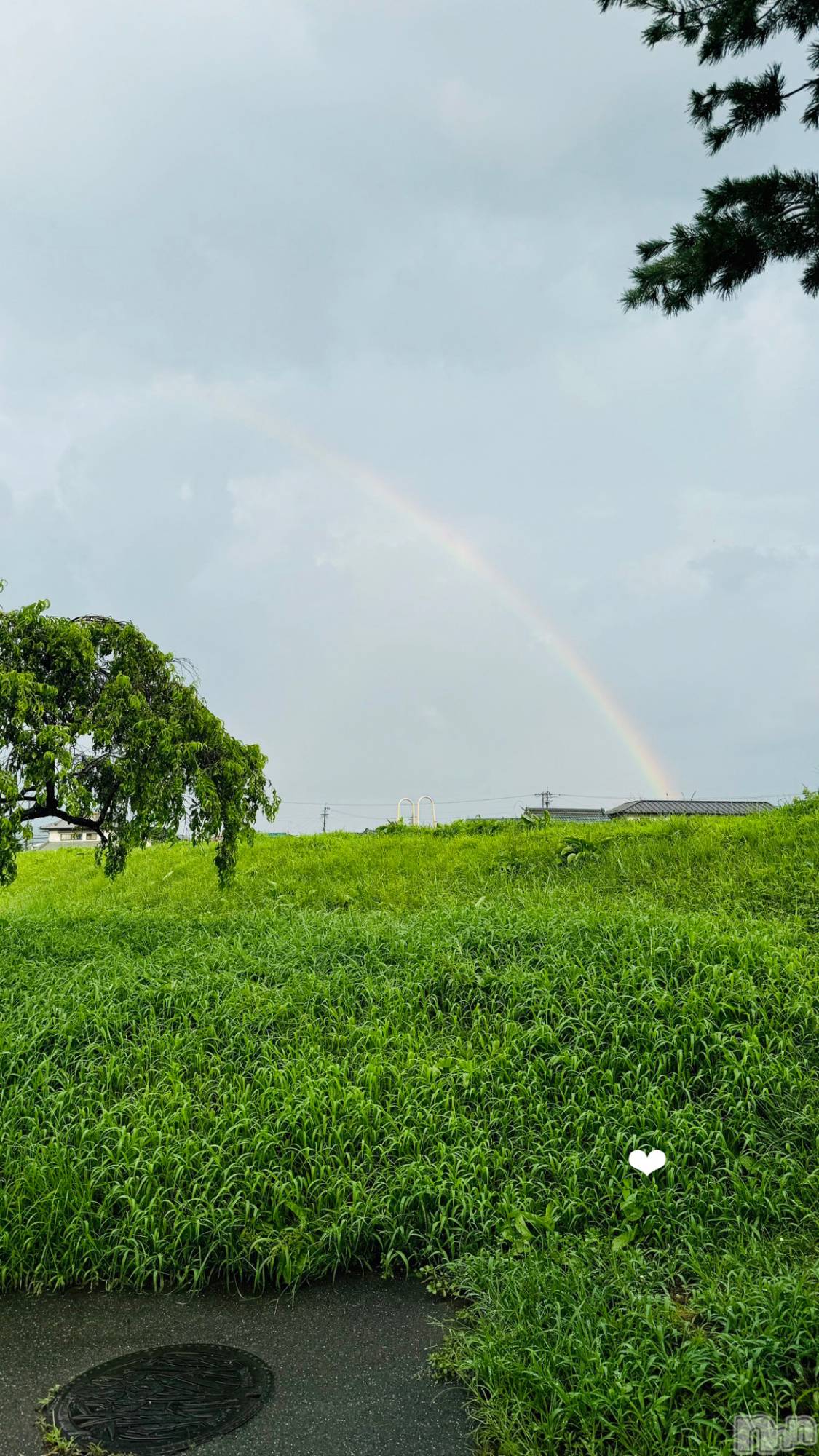 ��ˬ����Х��顦����֥���� �ץ���� ��ˬ(����� �ץ���� ����) ��2024ǯ11��7���̥�֥�����5��